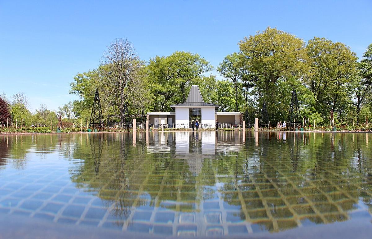 A view of Hamilton