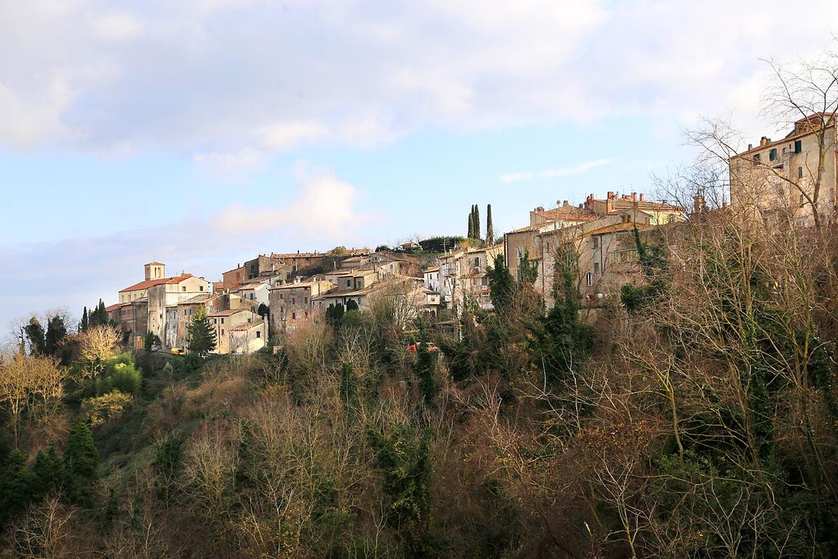 A view of Scansano
