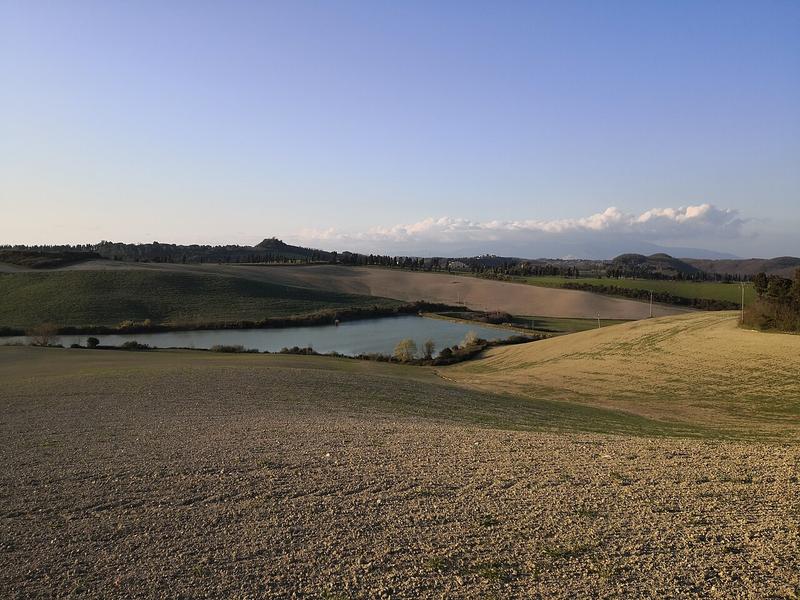A view of Fauglia