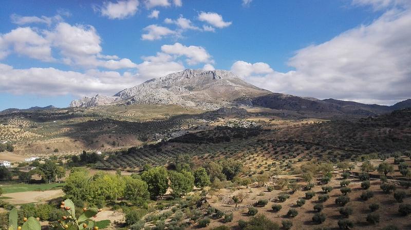 A view of El Burgo