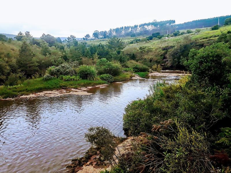 A view of Jaguariaíva