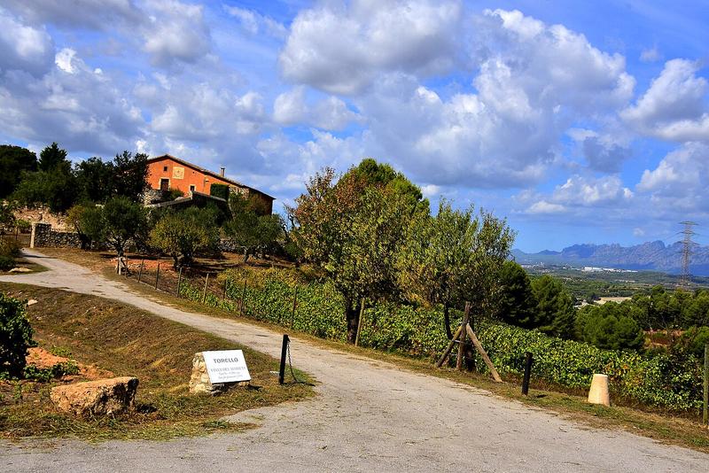 A view of Gelida