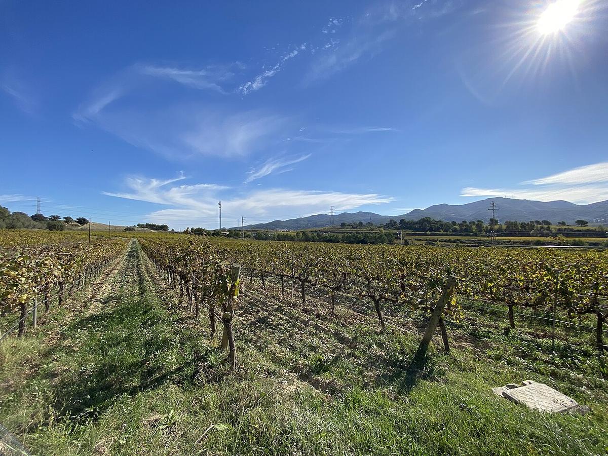 A view of Gelida