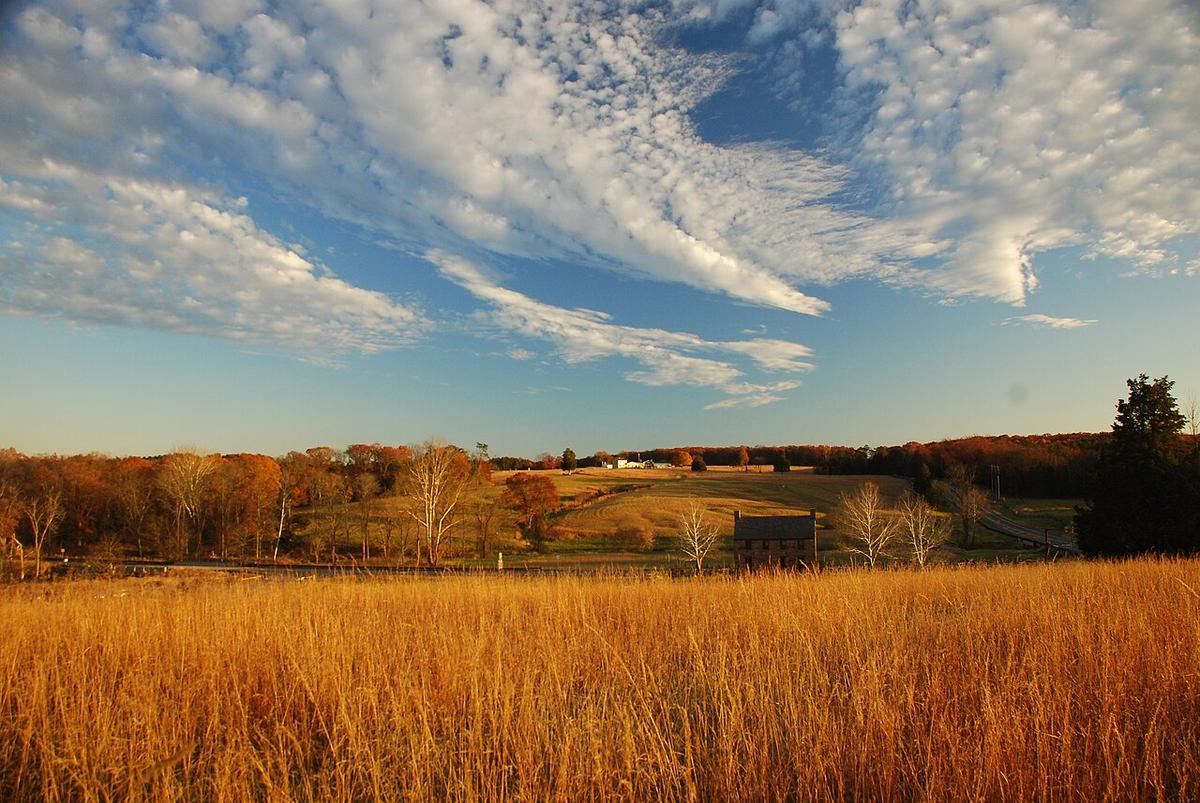 A view of Manassas