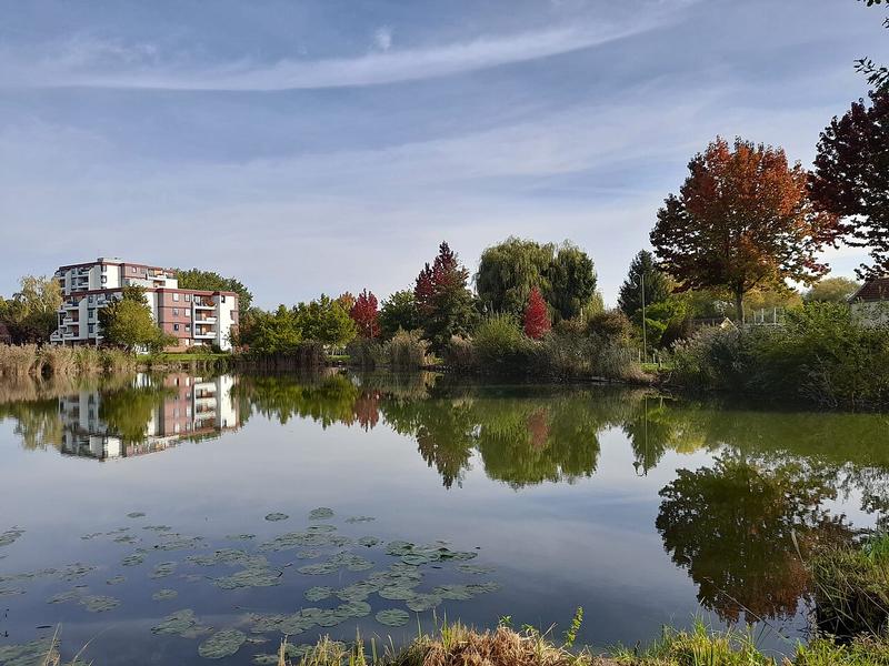 A view of Amiens
