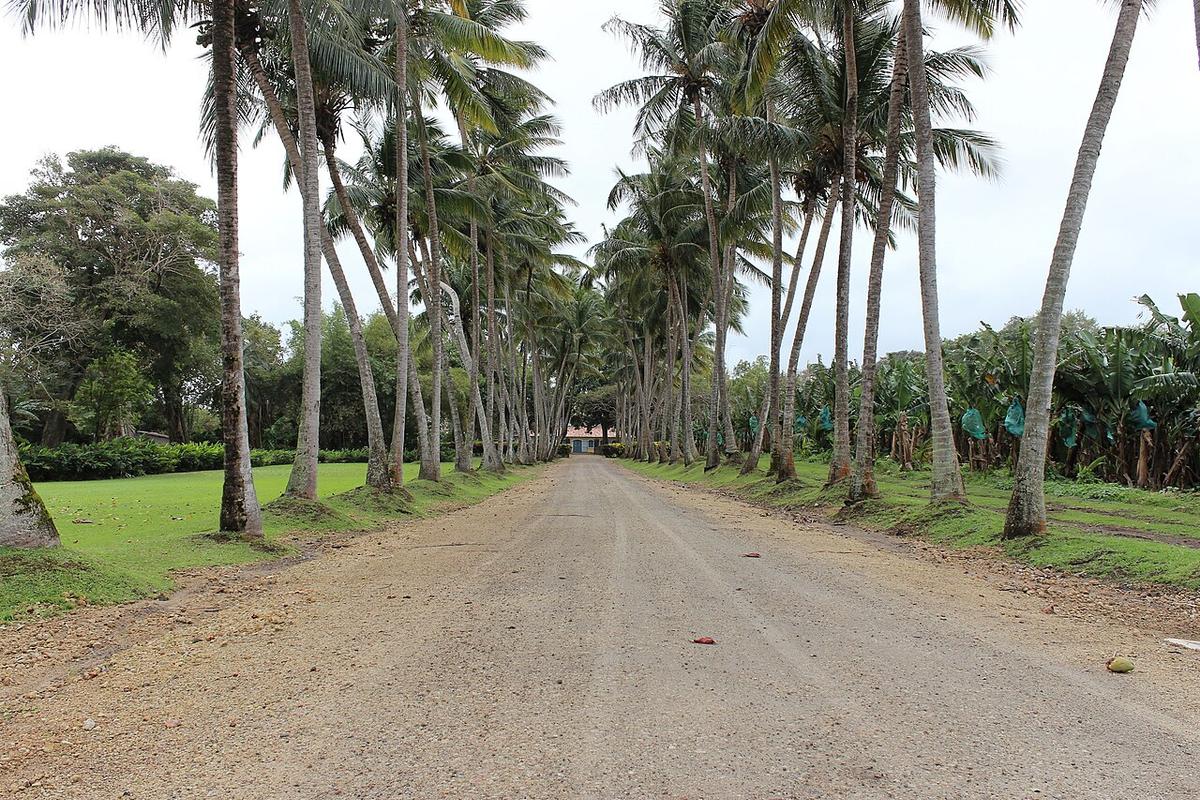 A view of Basse-Pointe