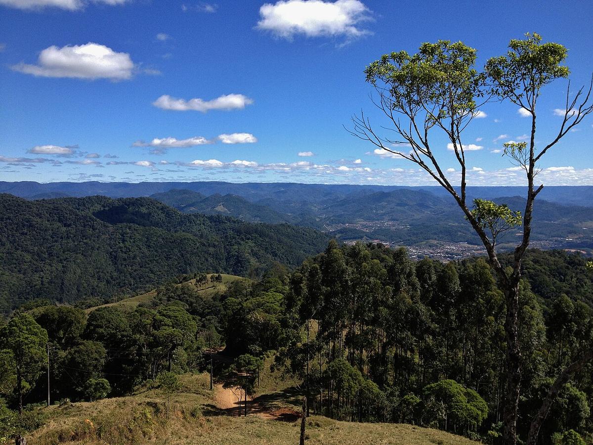 A view of Jaraguá do Sul
