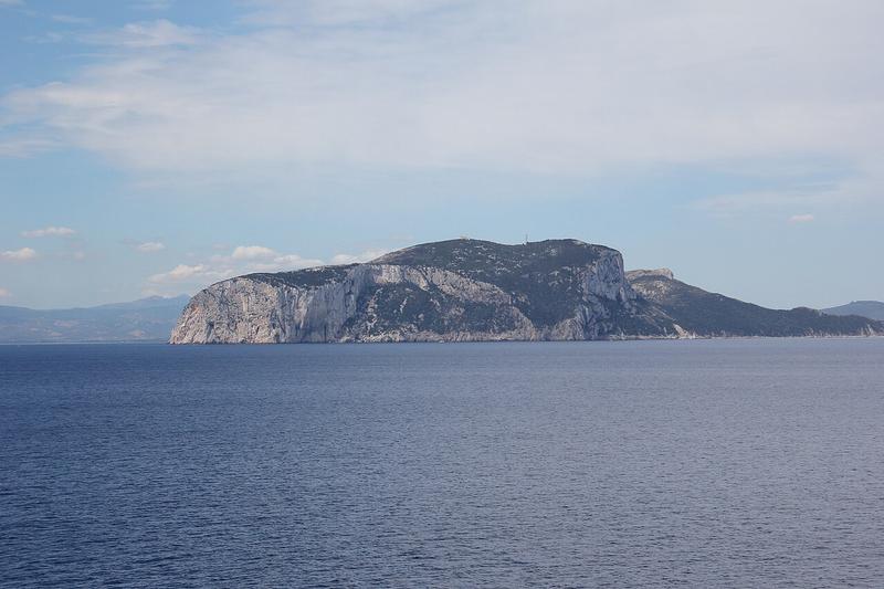 A view of Golfo Aranci