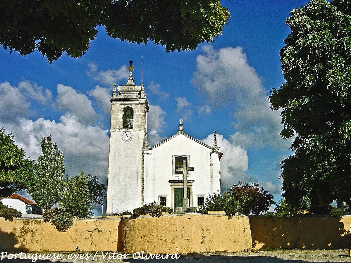 A view of Mealhada