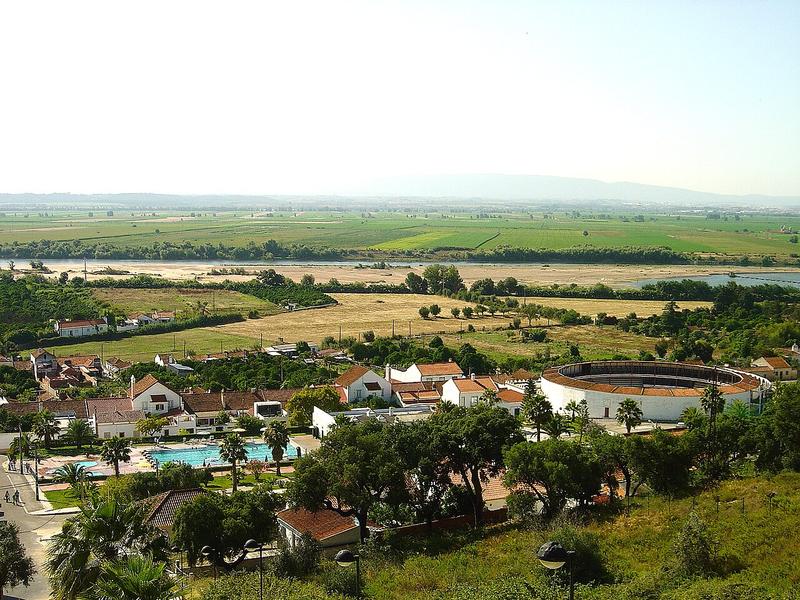 Vista de Chamusca