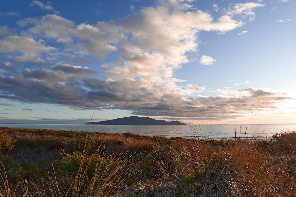 A view of Te Horo
