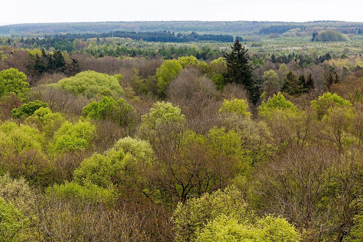 Vista de Mühlhausen