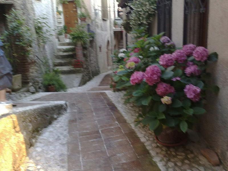 A view of Paganico Sabino