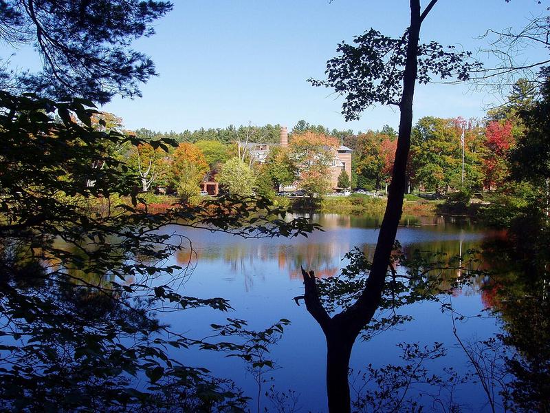 A view of Concord