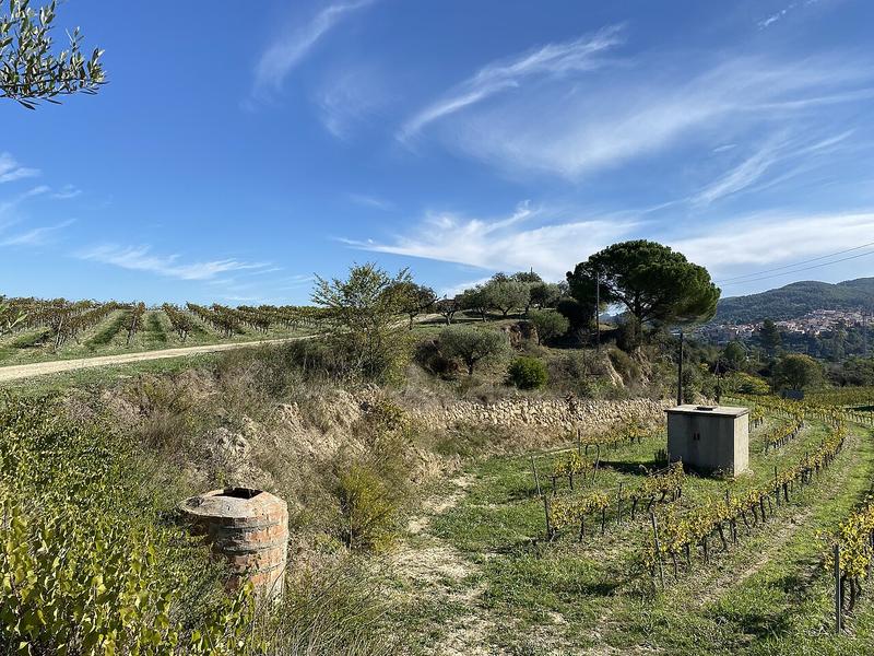 A view of Gelida