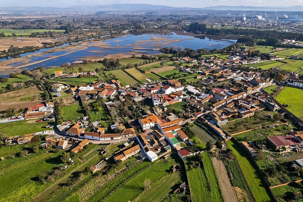 Vista de Cacia