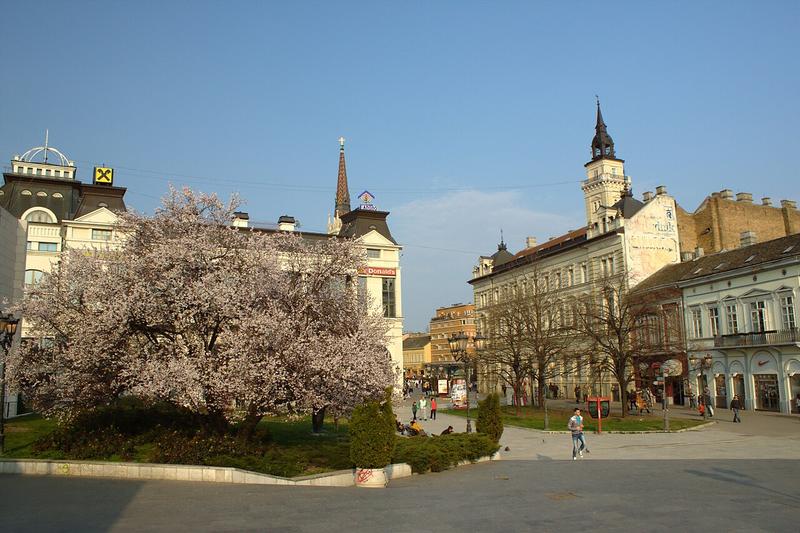 A view of Novi Sad