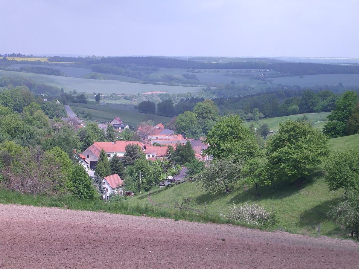 A view of Greiz