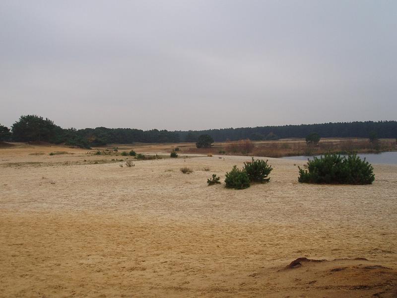 A view of Lommel