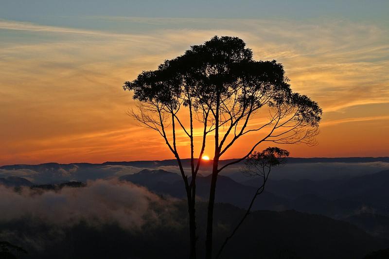 A view of Jaraguá do Sul