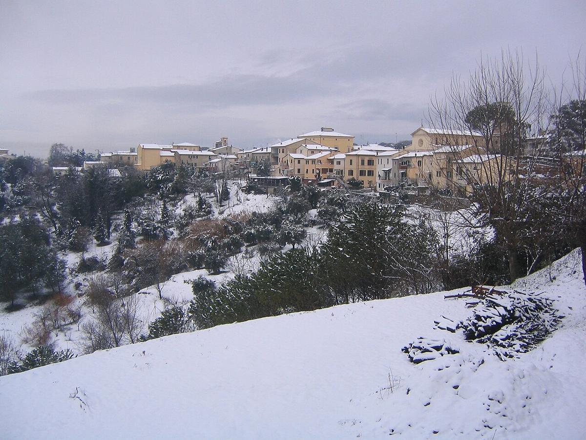 A view of Fauglia