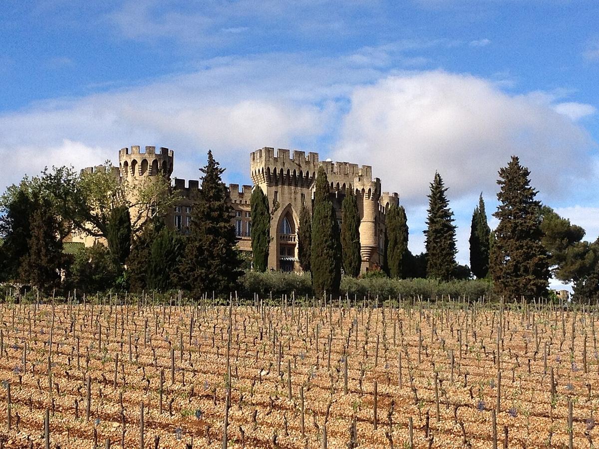 A view of Châteauneuf-du-Pape